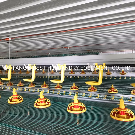 Agriculture Farm Machinery Broiler Poultry House Chicken Feeding Farm Equipment