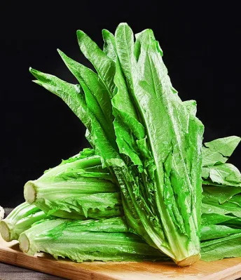 Healyhy Big Sweet and Crispy Lettuce Chinese Vegetables Seeds