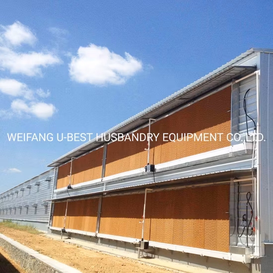 Agriculture Farm Machinery Broiler Poultry House Chicken Feeding Farm Equipment