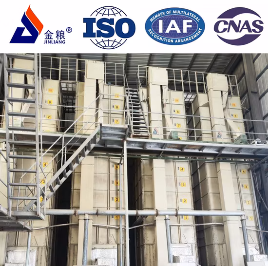 Rice Seed -Two Lines- Best Heat Tolerance