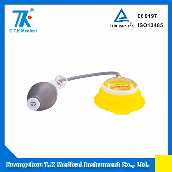 Grow Best High Yield Hybrid F1 Green Sweet Pepper Seeds Bell Pepper Seeds for Growing-Spring Dawn